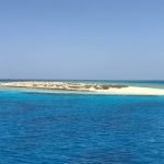 IMG-20191126-WA0012