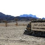 WadielGemal